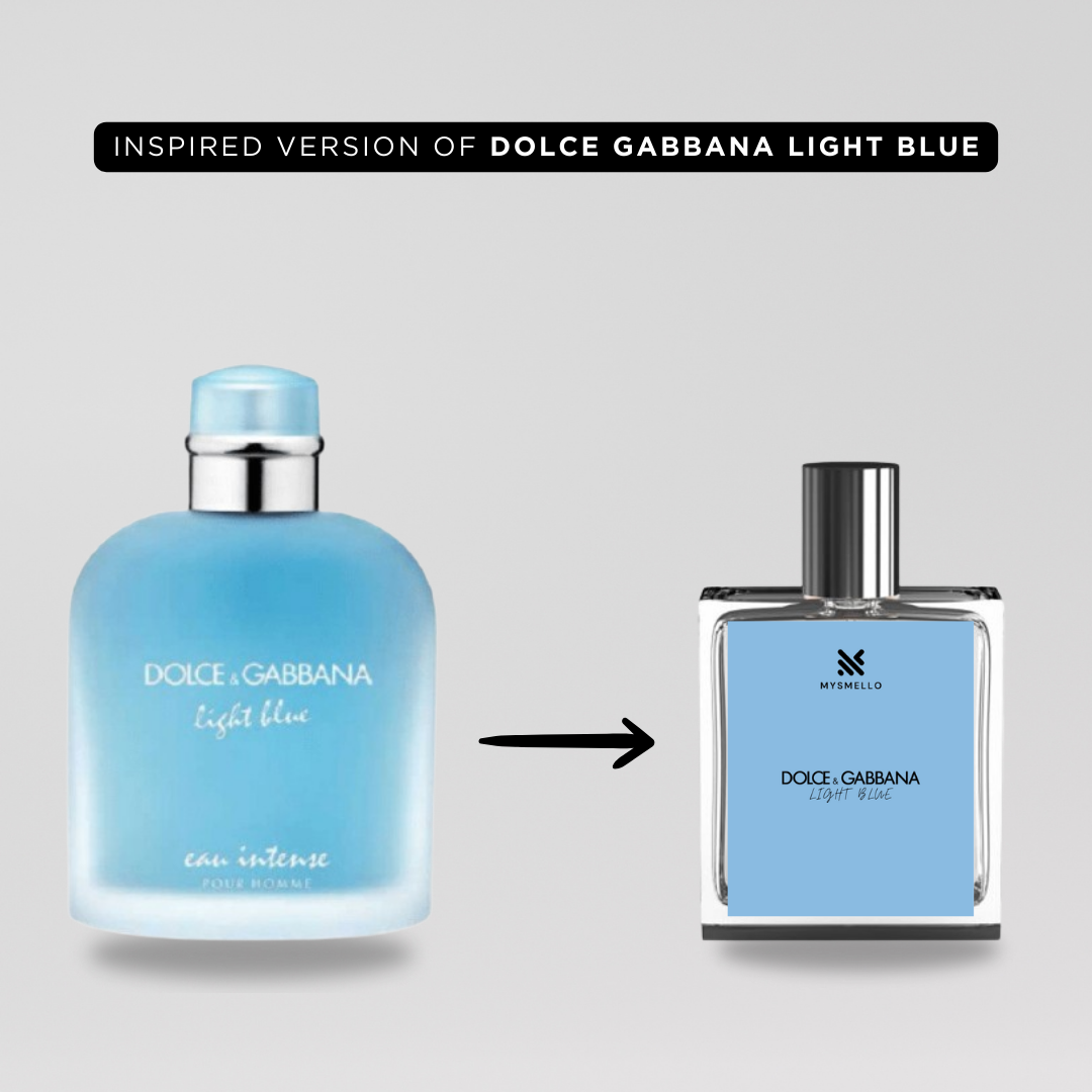 Pack of 3: YSL Y, Narciso rodriguez, D&G light blue